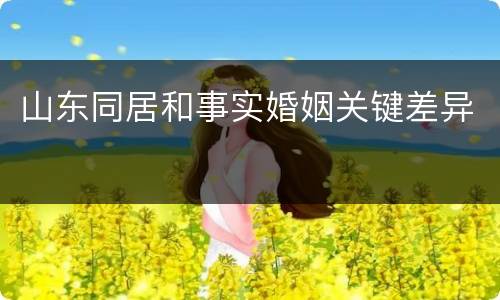 山东同居和事实婚姻关键差异