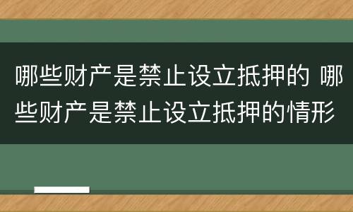 哪些财产是禁止设立抵押的 哪些财产是禁止设立抵押的情形