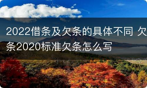 2022借条及欠条的具体不同 欠条2020标准欠条怎么写