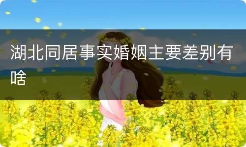 湖北同居事实婚姻主要差别有啥