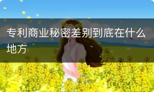 专利商业秘密差别到底在什么地方