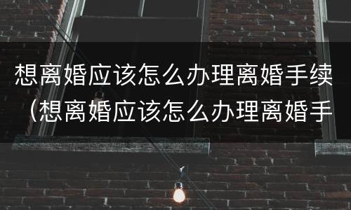 想离婚应该怎么办理离婚手续（想离婚应该怎么办理离婚手续呢）