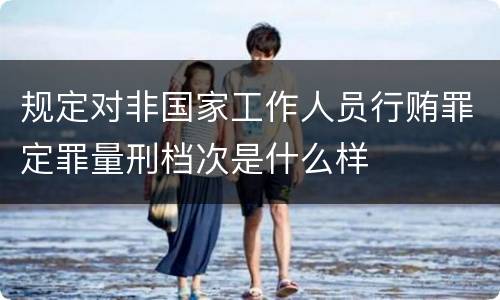 规定对非国家工作人员行贿罪定罪量刑档次是什么样