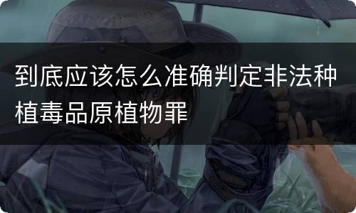 到底应该怎么准确判定非法种植毒品原植物罪
