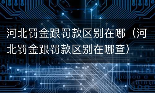河北罚金跟罚款区别在哪（河北罚金跟罚款区别在哪查）