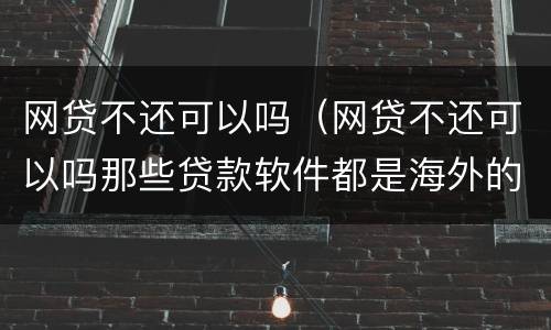网贷不还可以吗（网贷不还可以吗那些贷款软件都是海外的吗）