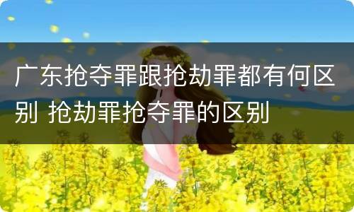 广东抢夺罪跟抢劫罪都有何区别 抢劫罪抢夺罪的区别
