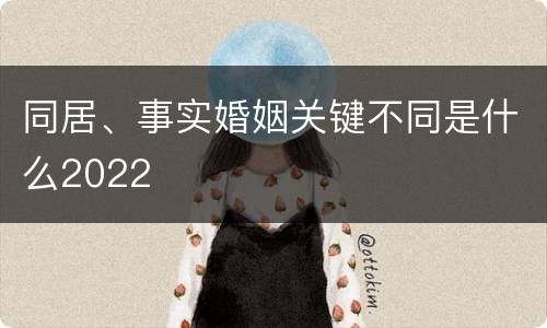 同居、事实婚姻关键不同是什么2022