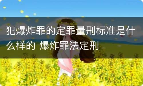犯爆炸罪的定罪量刑标准是什么样的 爆炸罪法定刑