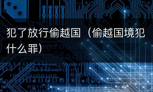犯了放行偷越国（偷越国境犯什么罪）