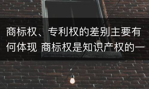 商标权、专利权的差别主要有何体现 商标权是知识产权的一种吗
