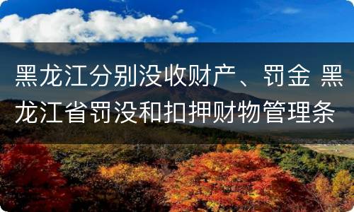 黑龙江分别没收财产、罚金 黑龙江省罚没和扣押财物管理条例