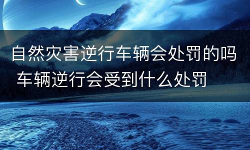 自然灾害逆行车辆会处罚的吗 车辆逆行会受到什么处罚