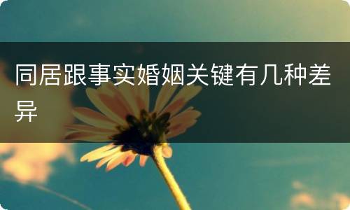 同居跟事实婚姻关键有几种差异