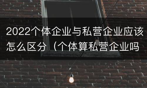 2022个体企业与私营企业应该怎么区分（个体算私营企业吗）