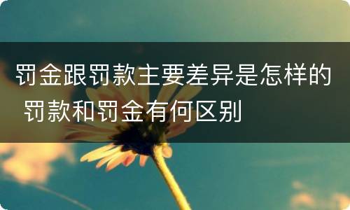 罚金跟罚款主要差异是怎样的 罚款和罚金有何区别
