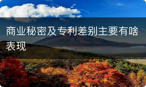 商业秘密及专利差别主要有啥表现