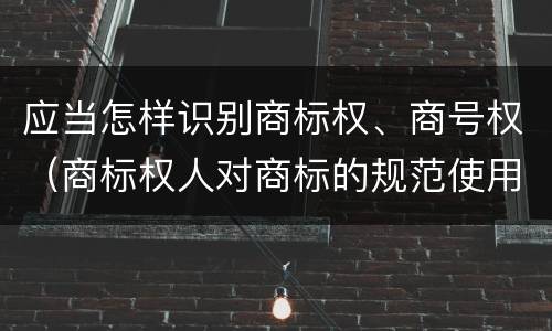 应当怎样识别商标权、商号权（商标权人对商标的规范使用）