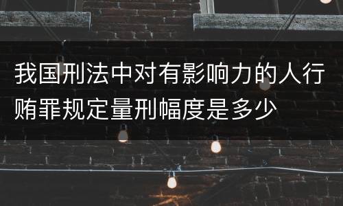 我国刑法中对有影响力的人行贿罪规定量刑幅度是多少