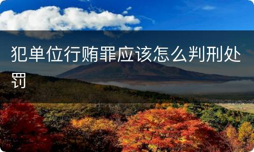 犯单位行贿罪应该怎么判刑处罚