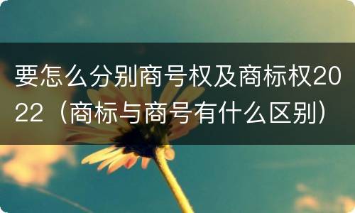 要怎么分别商号权及商标权2022（商标与商号有什么区别）