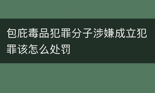 包庇毒品犯罪分子涉嫌成立犯罪该怎么处罚