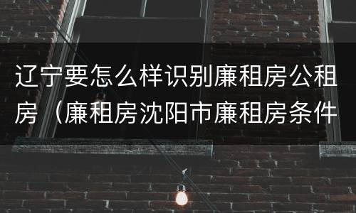 辽宁要怎么样识别廉租房公租房（廉租房沈阳市廉租房条件）