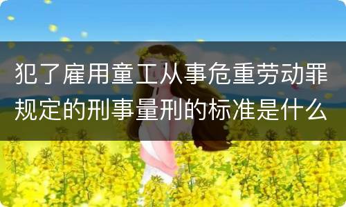 犯了雇用童工从事危重劳动罪规定的刑事量刑的标准是什么样的