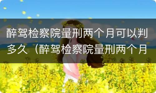 醉驾检察院量刑两个月可以判多久（醉驾检察院量刑两个月可以判多久呢）