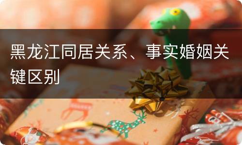 黑龙江同居关系、事实婚姻关键区别