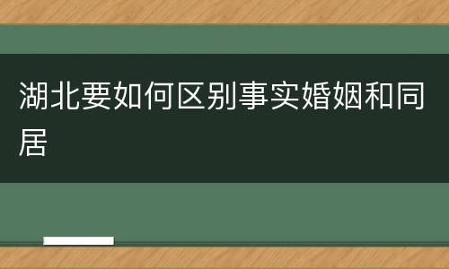 湖北要如何区别事实婚姻和同居