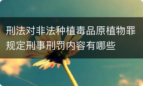 刑法对非法种植毒品原植物罪规定刑事刑罚内容有哪些