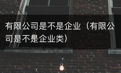 有限公司是不是企业（有限公司是不是企业类）