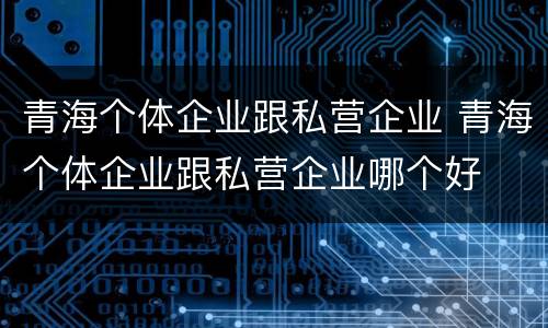 青海个体企业跟私营企业 青海个体企业跟私营企业哪个好