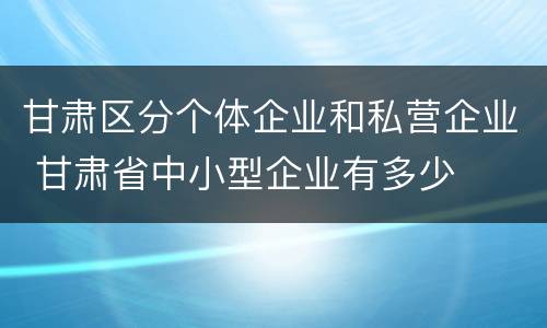 甘肃区分个体企业和私营企业 甘肃省中小型企业有多少