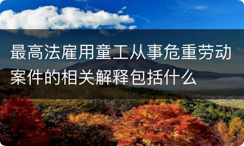 最高法雇用童工从事危重劳动案件的相关解释包括什么