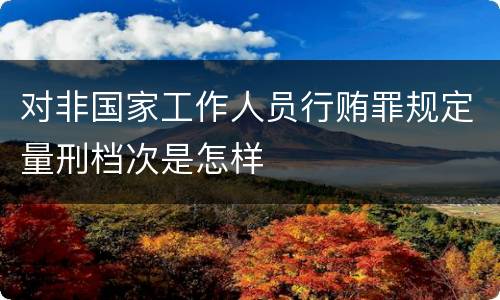 对非国家工作人员行贿罪规定量刑档次是怎样
