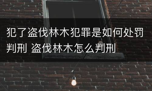 犯了盗伐林木犯罪是如何处罚判刑 盗伐林木怎么判刑