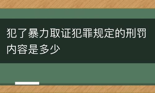 犯了暴力取证犯罪规定的刑罚内容是多少