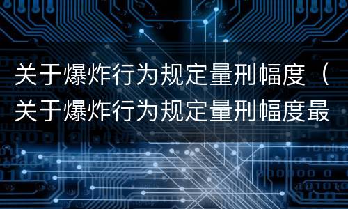 关于爆炸行为规定量刑幅度（关于爆炸行为规定量刑幅度最大的是）