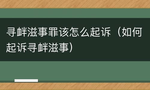 寻衅滋事罪该怎么起诉（如何起诉寻衅滋事）