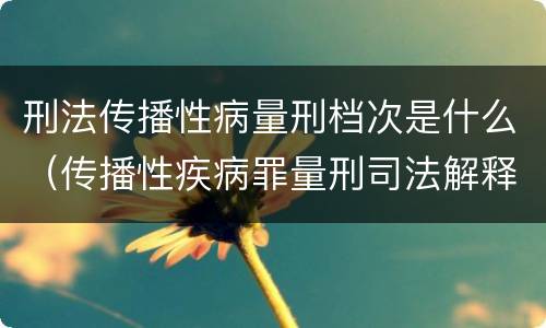 刑法传播性病量刑档次是什么（传播性疾病罪量刑司法解释）