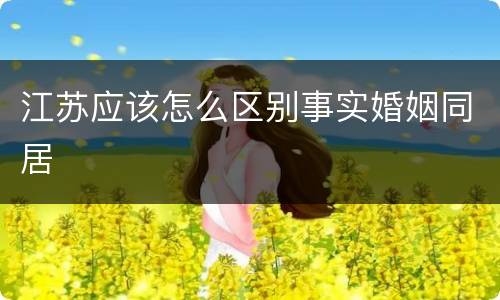 江苏应该怎么区别事实婚姻同居
