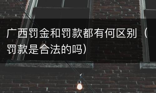 广西罚金和罚款都有何区别（罚款是合法的吗）