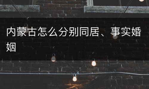 内蒙古怎么分别同居、事实婚姻