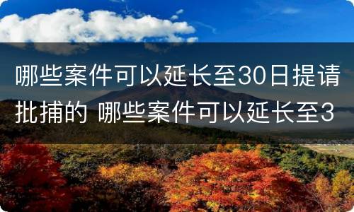 哪些案件可以延长至30日提请批捕的 哪些案件可以延长至30日提请批捕的时效