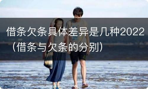 借条欠条具体差异是几种2022（借条与欠条的分别）