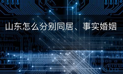 山东怎么分别同居、事实婚姻