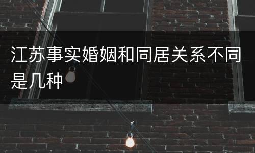 江苏事实婚姻和同居关系不同是几种