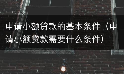 申请小额贷款的基本条件（申请小额贷款需要什么条件）